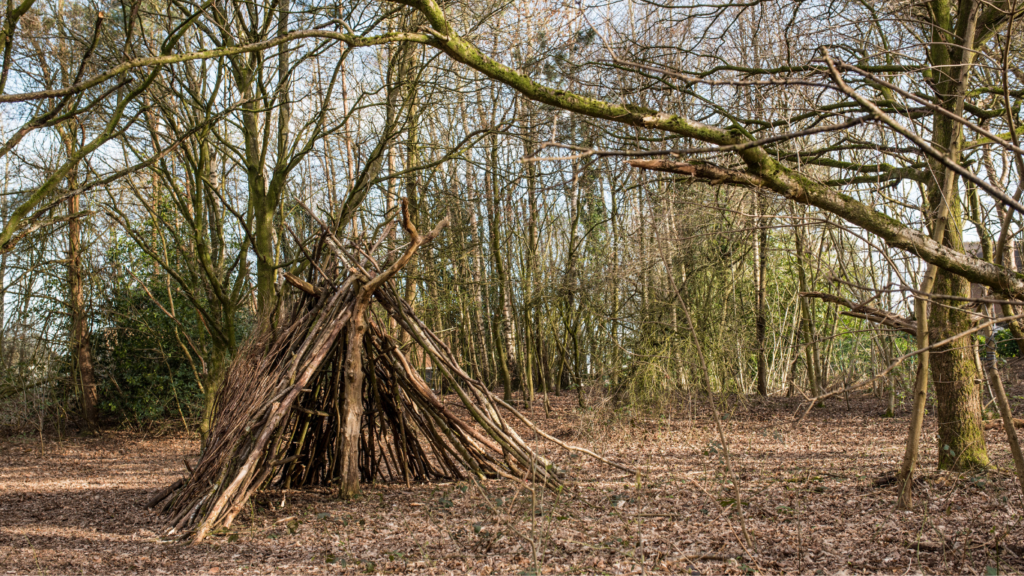 Bushcraft shelter