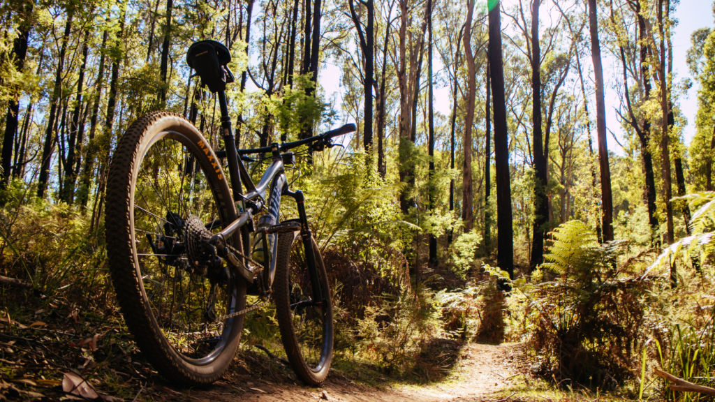 Mountain bike