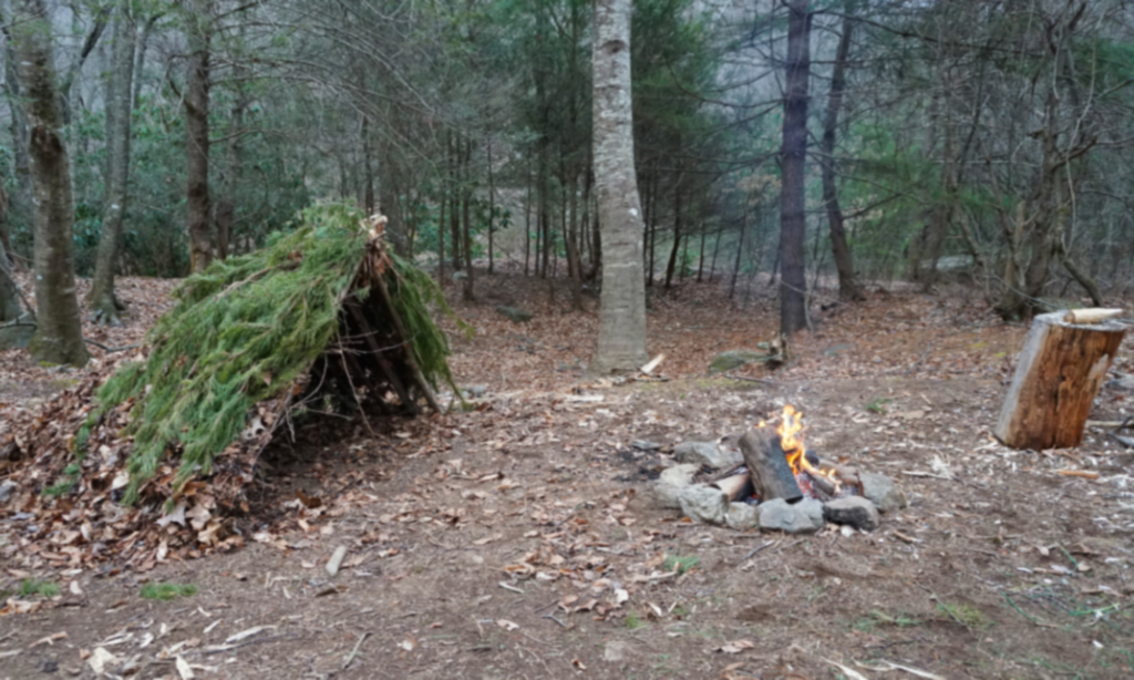 Bushcraft shelter